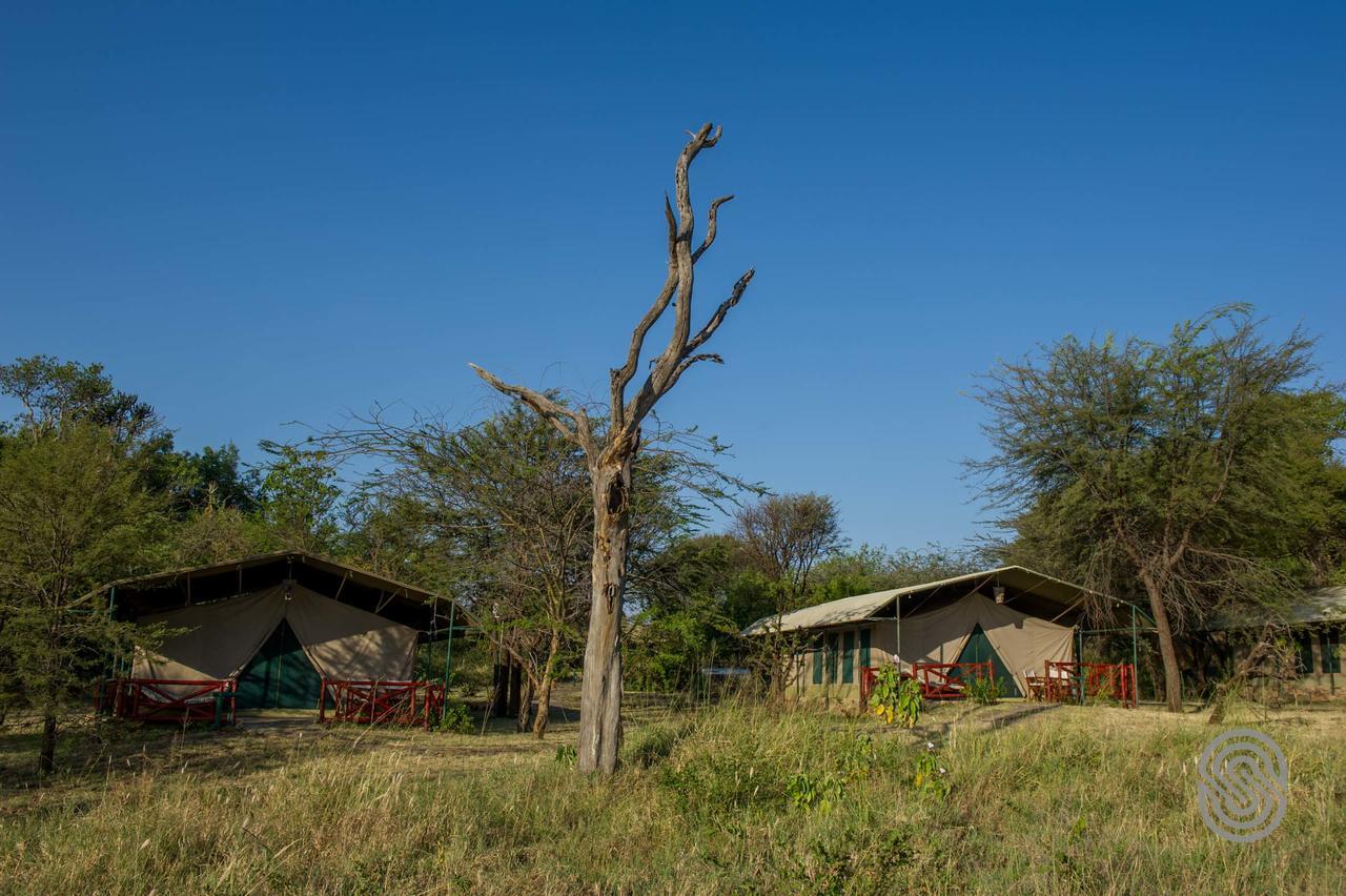 Mbuzi Mawe Serena Camp Hotell Serengeti Eksteriør bilde